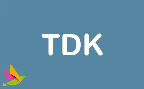 TDK